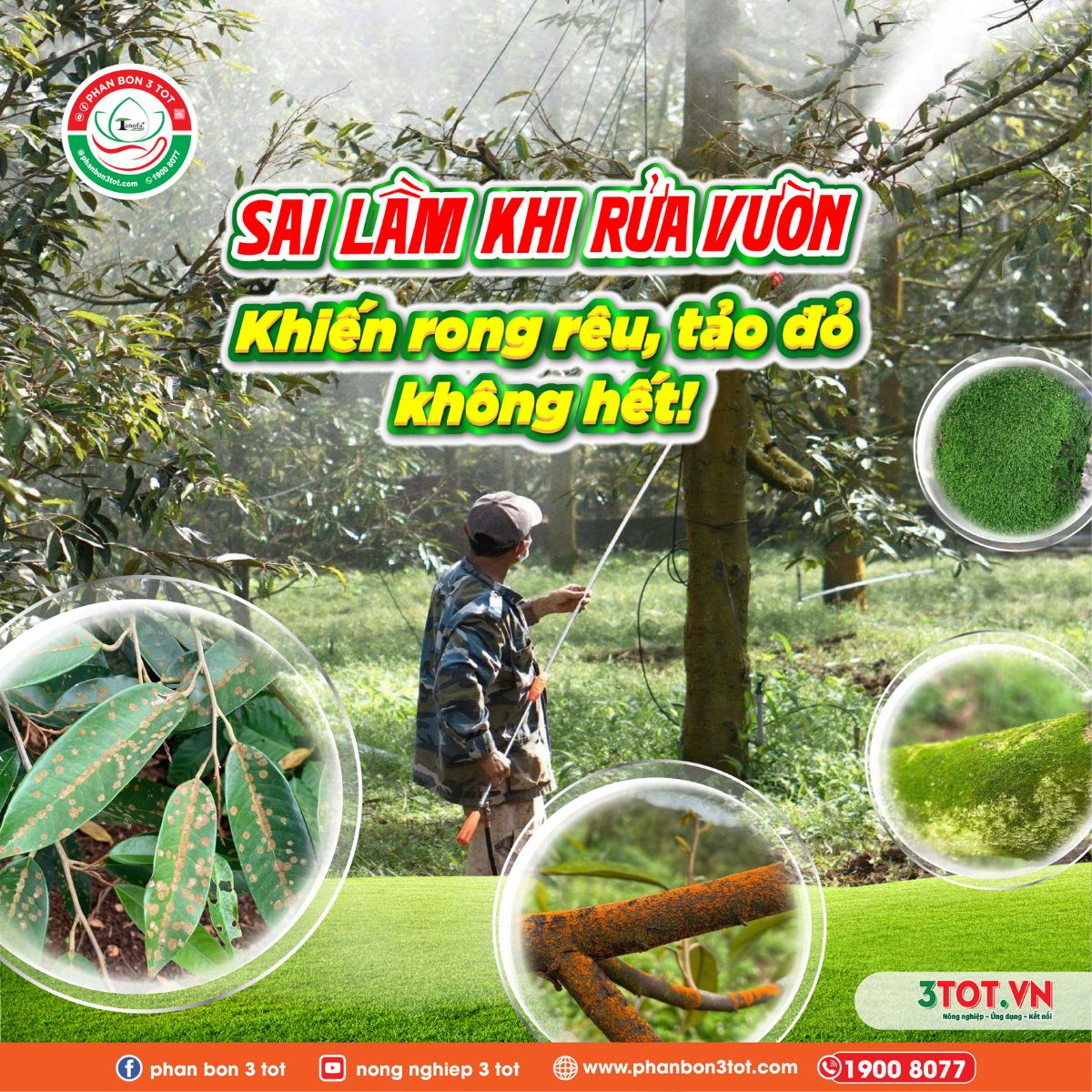 SAI LẦM KHI RỬA VƯỜN KHIẾN RONG RÊU, TẢO ĐỎ, NẤM HỒNG MÃI KHÔNG HẾT! SAI LẦM KHI RỬA VƯỜN KHIẾN RONG RÊU, TẢO ĐỎ, NẤM HỒNG MÃI KHÔNG HẾT!