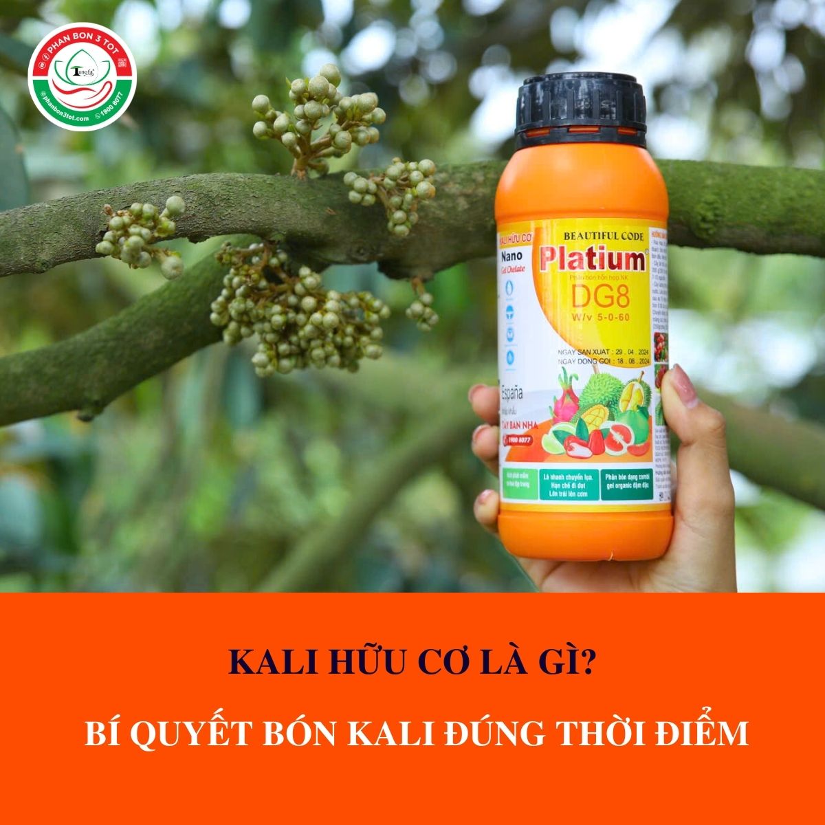 KALI HỮU CƠ LÀ GÌ? BÍ QUYẾT BÓN KALI ĐÚNG THỜI ĐIỂM CHO CÂY TRỒNG KALI HỮU CƠ LÀ GÌ? BÍ QUYẾT BÓN KALI ĐÚNG THỜI ĐIỂM CHO CÂY TRỒNG