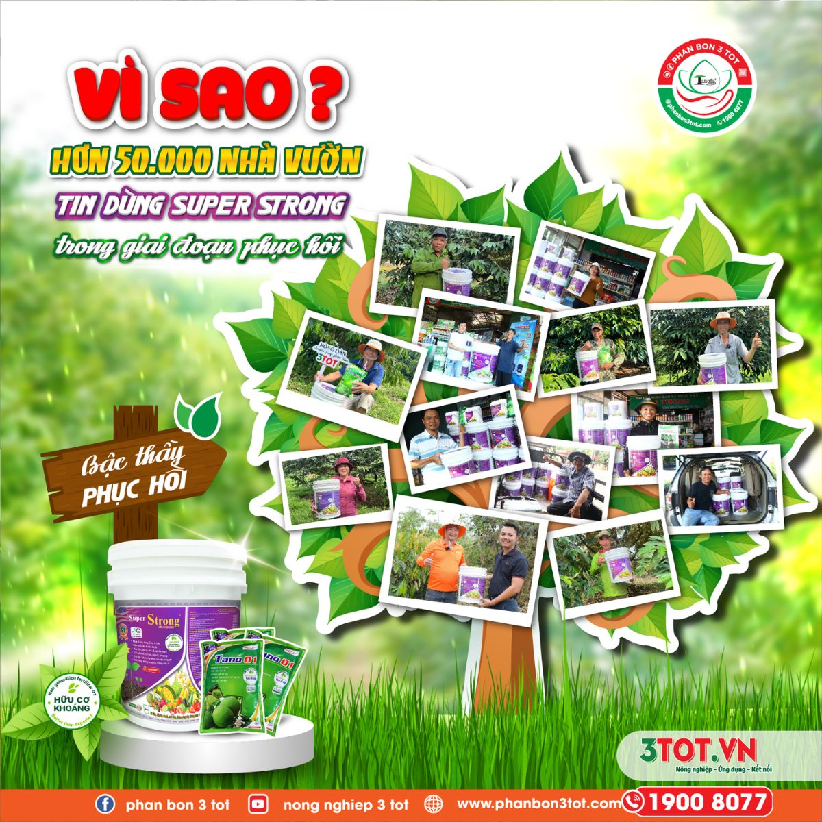 6 LÝ DO NHÀ VƯỜN CHỌN SUPER STRONG HỮU CƠ KHOÁNG GIAI ĐOẠN PHỤC HỒI! 