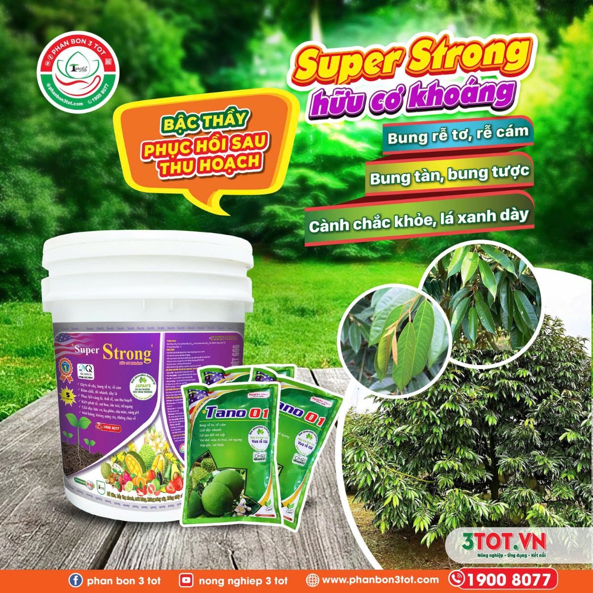 SUPER STRONG - TOP 1 XÔ PHỤC HỒI, DƯỠNG CÂY HƠN 30.000 NHÀ VƯỜN TIN DÙNG  SUPER STRONG - TOP 1 XÔ PHỤC HỒI, DƯỠNG CÂY HƠN 30.000 NHÀ VƯỜN TIN DÙNG