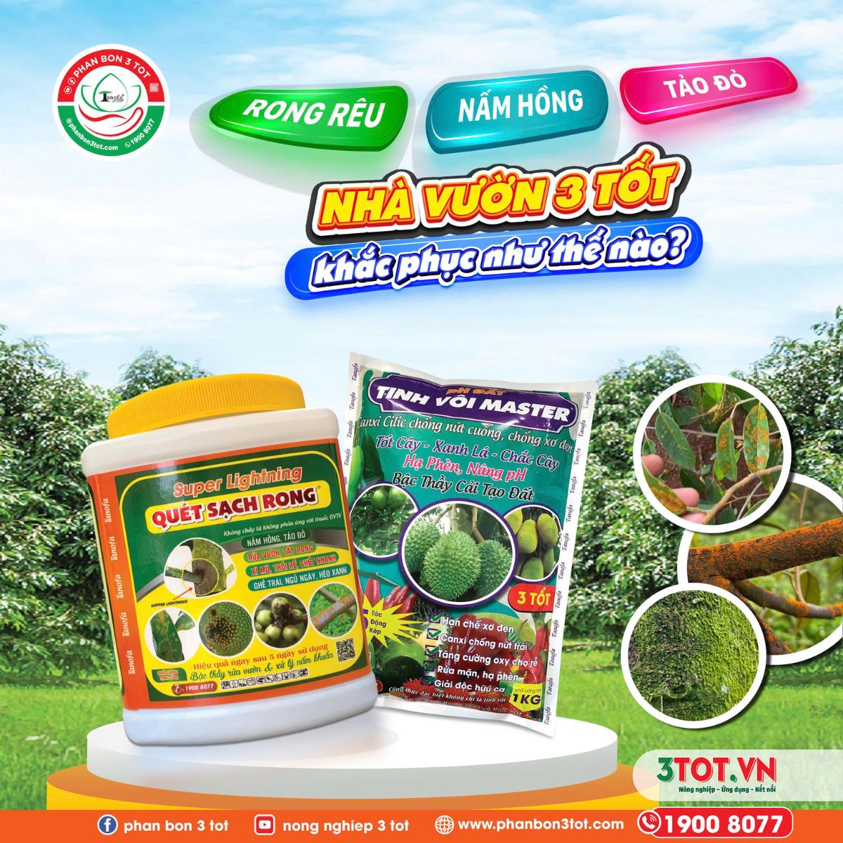 RONG RÊU, NẤM HỒNG, TẢO ĐỎ - NHÀ VƯỜN 3 TỐT ĐẨY LÙI NHƯ THẾ NÀO?  RONG RÊU, NẤM HỒNG, TẢO ĐỎ - NHÀ VƯỜN 3 TỐT ĐẨY LÙI NHƯ THẾ NÀO?