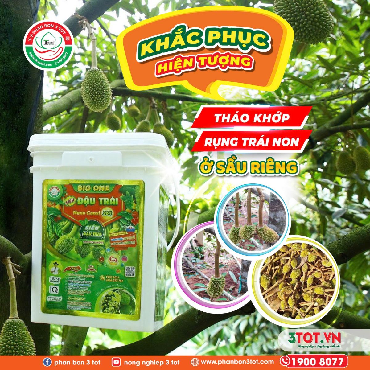 KHẮC PHỤC HIỆN TƯỢNG THÁO KHỚP, RỤNG TRÁI NON Ở SẦU RIÊNG KHẮC PHỤC HIỆN TƯỢNG THÁO KHỚP, RỤNG TRÁI NON Ở SẦU RIÊNG