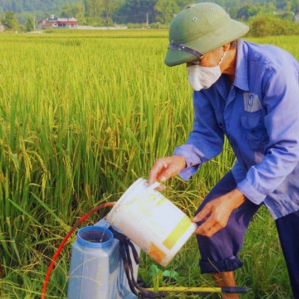 Hướng Dẫn Cách Phối Trộn Phân Bón Và Thuốc Bảo Vệ Thực Vật Đạt Hiệu Quả Cao Hướng Dẫn Cách Phối Trộn Phân Bón Và Thuốc Bảo Vệ Thực Vật Đạt Hiệu Quả Cao