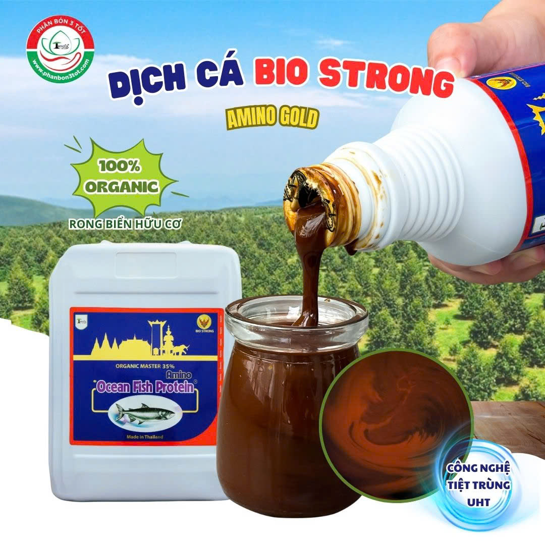 TẠI SAO LỰA CHỌN ĐẠM CÁ HỮU CƠ - AMINO BIO STRONG TẠI SAO LỰA CHỌN ĐẠM CÁ HỮU CƠ - AMINO BIO STRONG