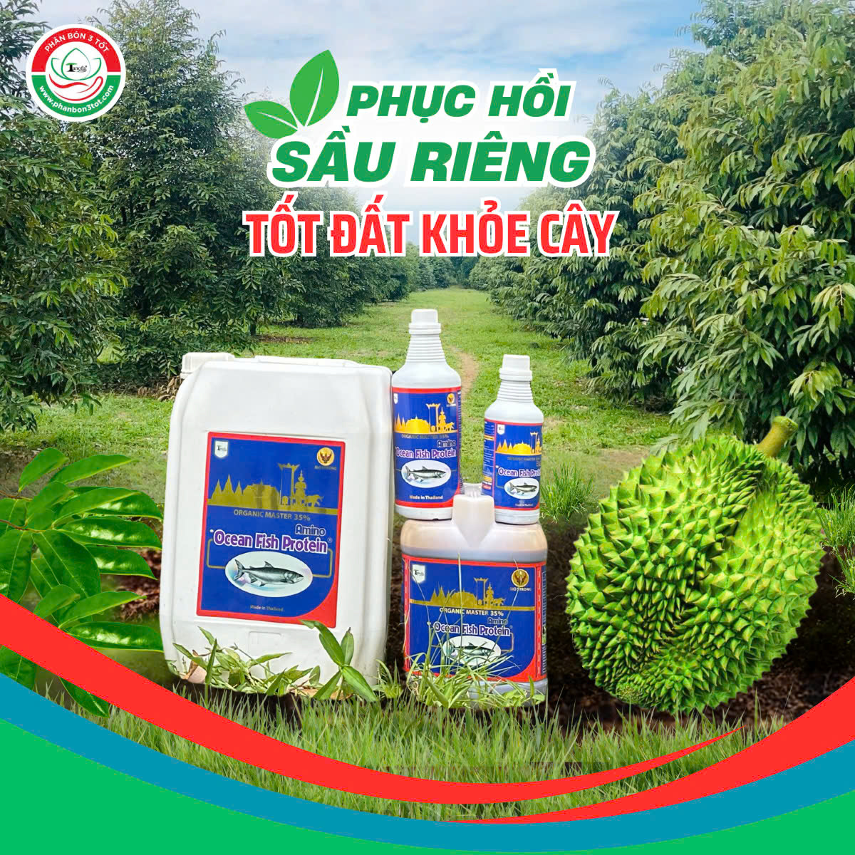 DỊCH CÁ BIO STRONG - PHỤC HỒI VƯỜN NHANH, TỐT ĐẤT KHỎE CÂY DỊCH CÁ BIO STRONG - PHỤC HỒI VƯỜN NHANH, TỐT ĐẤT KHỎE CÂY