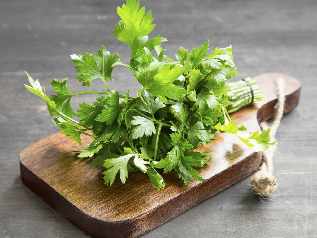 LÁ MÙI TÂY TƯƠI - FRESH PARSLEY Tiệm Agora - Healthy Eat Clean