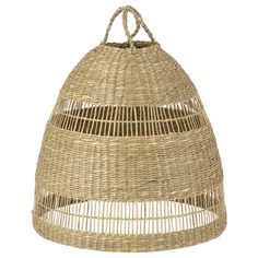 Seagrass light 2020