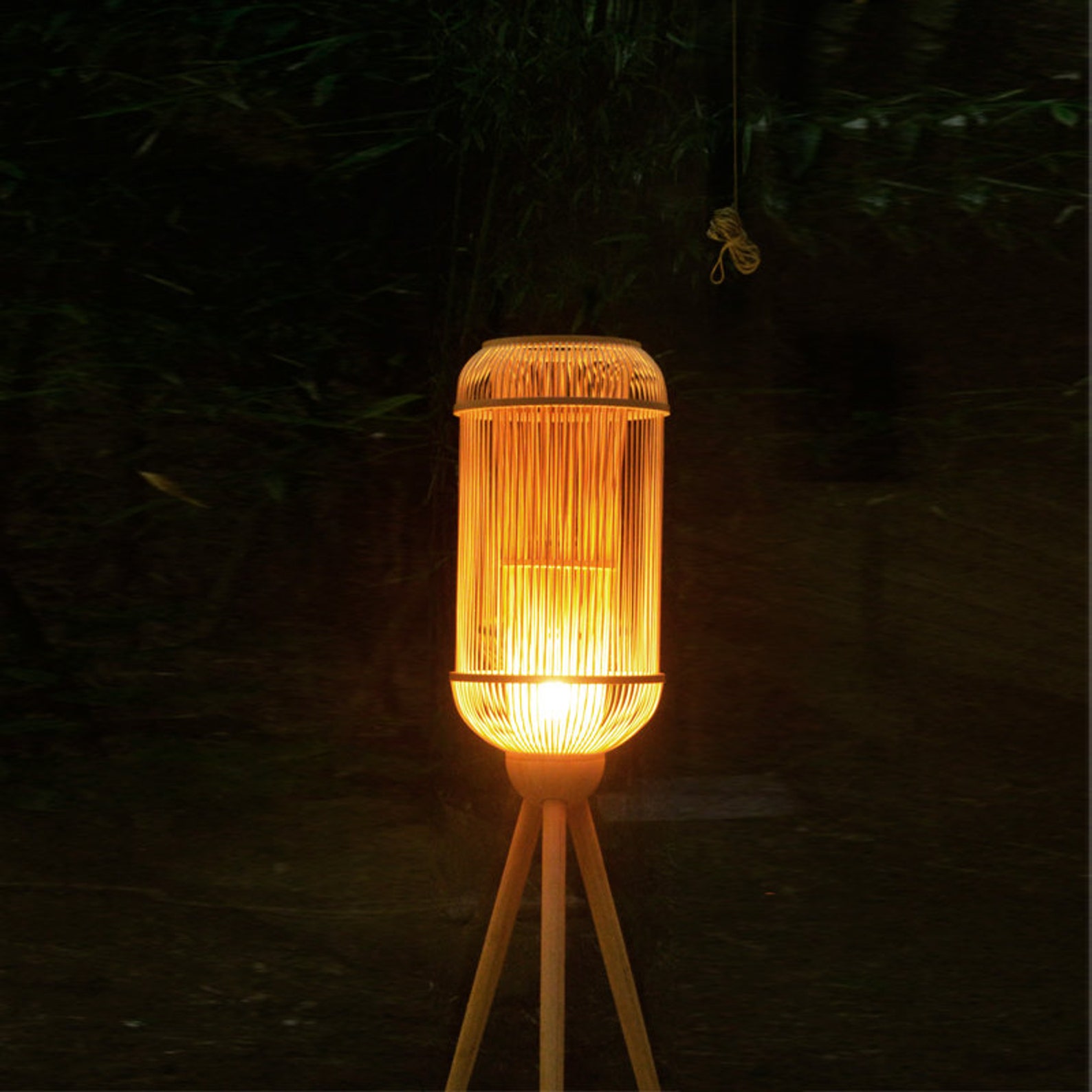 Floor Lamp 09