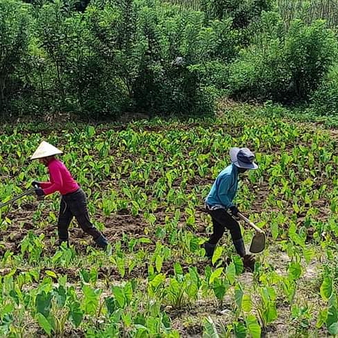 YÊU NÔNG SẢN VIỆT NÔNG NGHIỆP - THỰC PHẨM