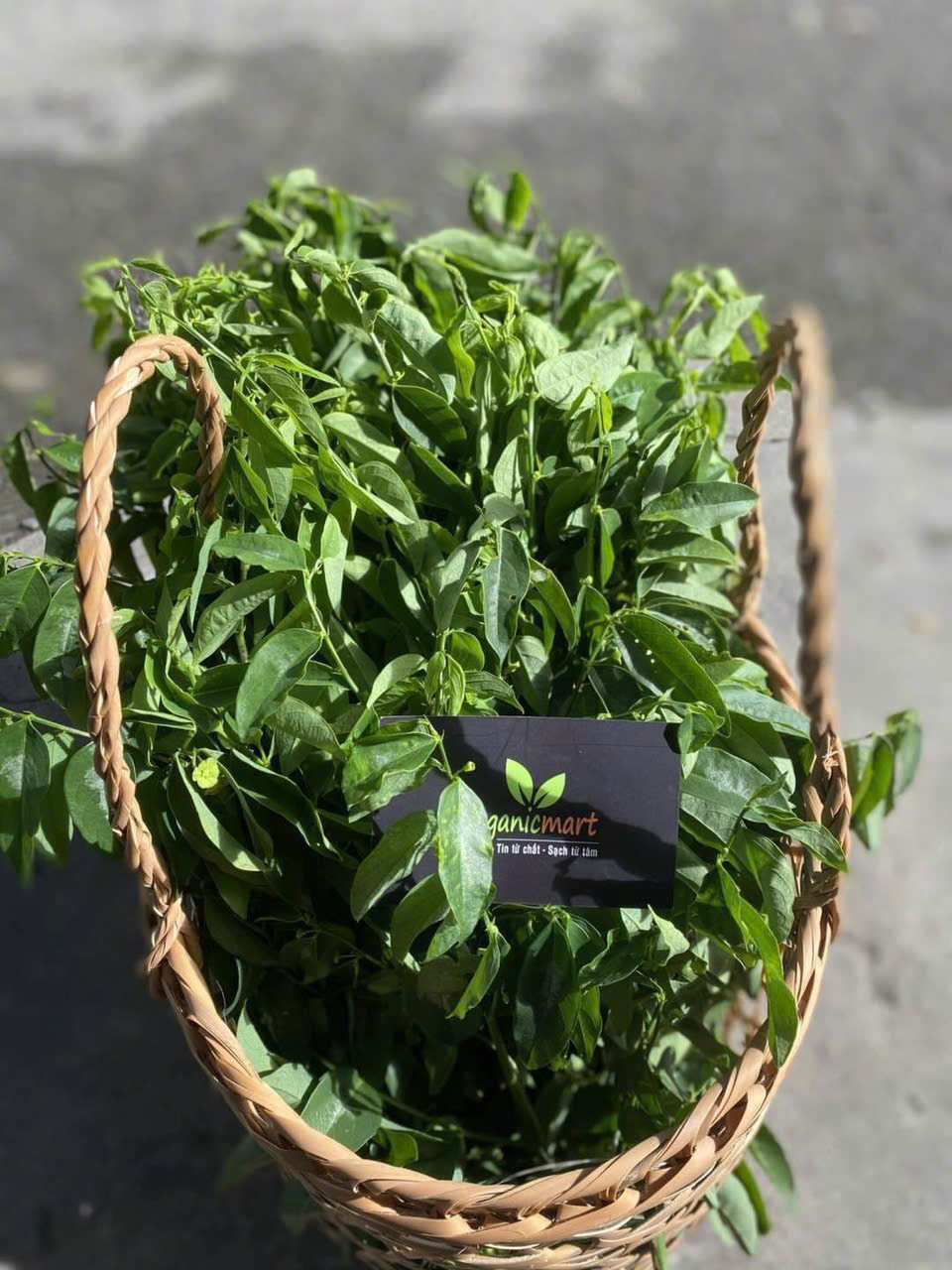 SỐNG THUẬN TỰ NHIÊN VÀ HỌC CÁCH CHẤP NHẬN NHỮNG ĐIỀU KHÔNG HOÀN HẢO