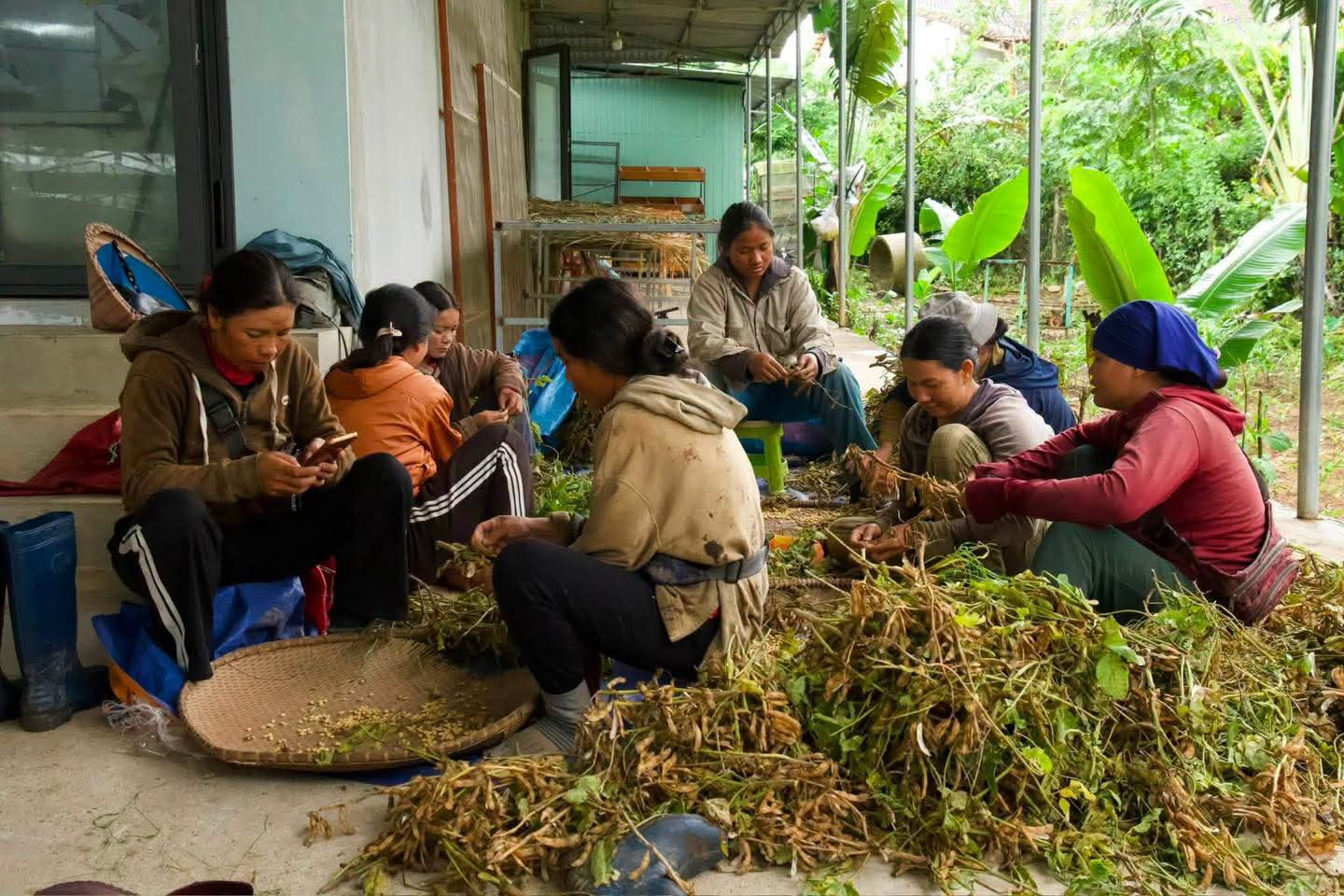 MƯA RỒI SẼ TẠNH, CÒN SỰ CHỈN CHU THÌ Ở LẠI