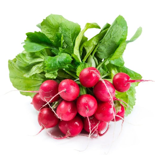 Red Radish