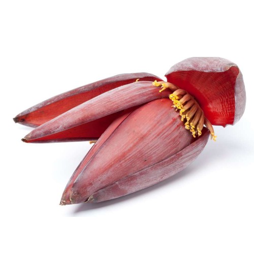 Trái Bắp Chuối: Đặc Điểm, Công Dụng và Ứng Dụng Ẩm Thực