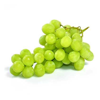3. Các ưu điểm nổi bật