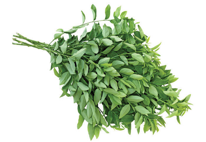 Rau ngót Organic 500g Organic Mart