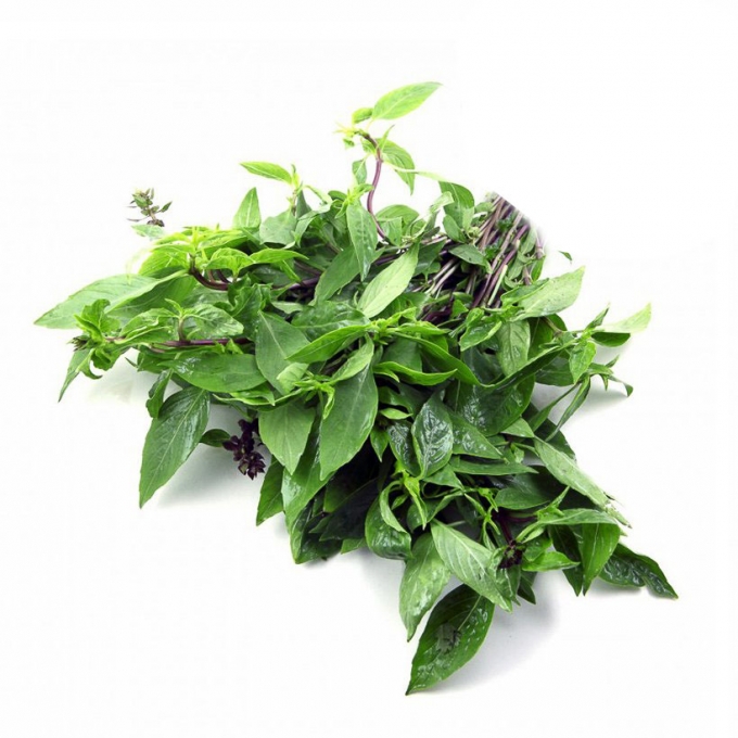 Rau thơm Organic 100gr Organic Mart