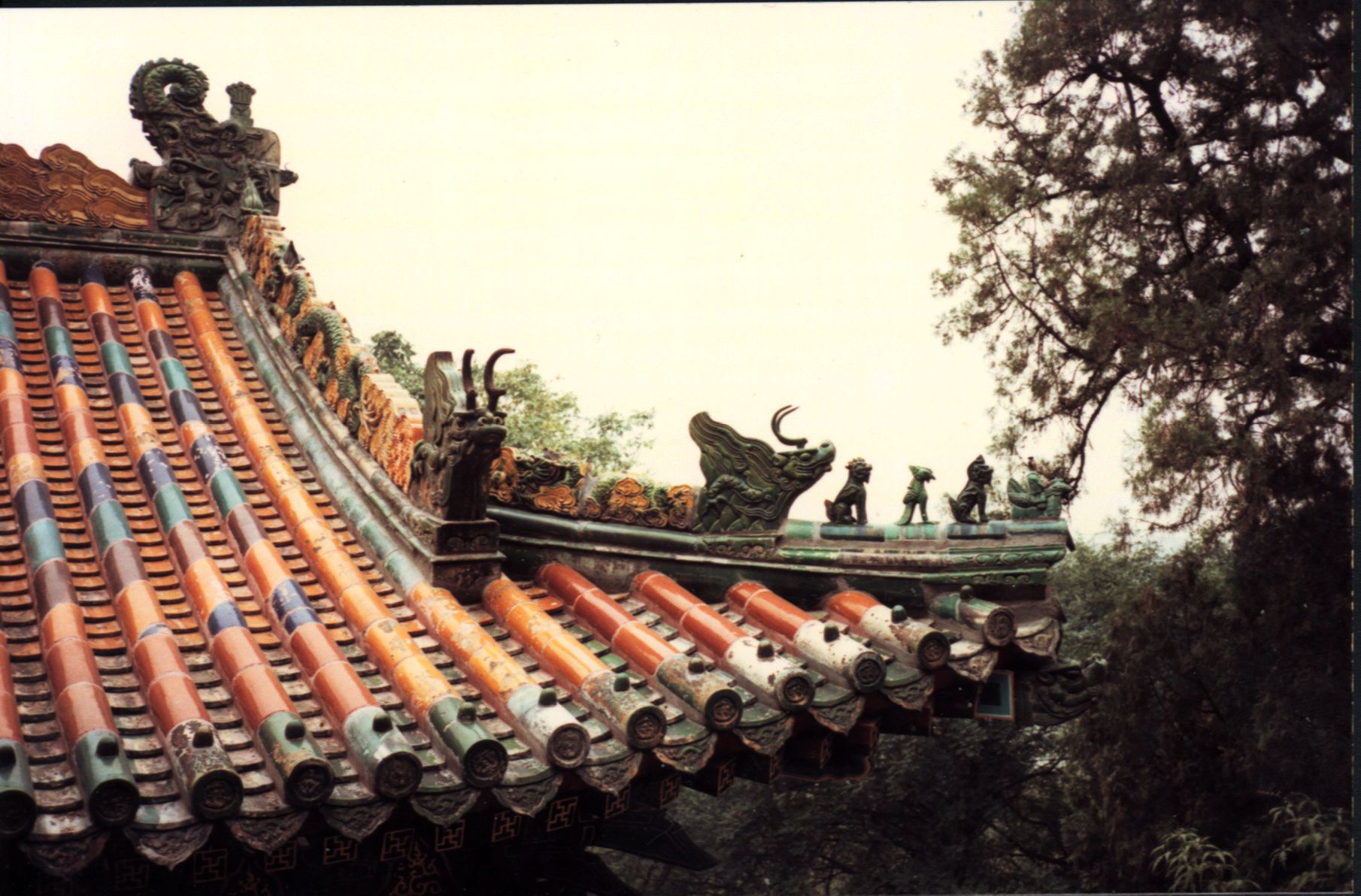 Khám phá về cách lợp mái ngói âm dương chi tiết và đúng tiêu chuẩn