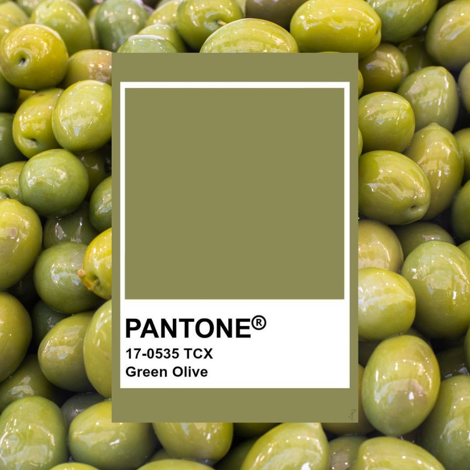 Xanh Olive: Sắc màu quyền lực thu đông 2024 & Những điều tín đồ thời trang cần biết