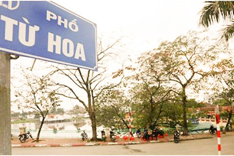 phố Từ Hoa, từ ngõ 11 đường Xuân Diệu đến ngõ 1 đường Âu Cơ, phường Quảng An, quận Tây Hồ, Hà Nội.