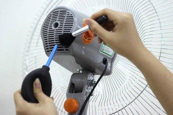 Cách sử dụng quạt cây Điện cơ Thống Nhất an toàn