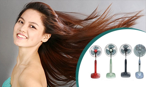 Mua quạt cây điều khiển từ xa ở đâu tốt?