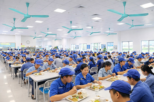 Quạt trần Vinawind QT-1400N trong căng tin doanh nghiệp