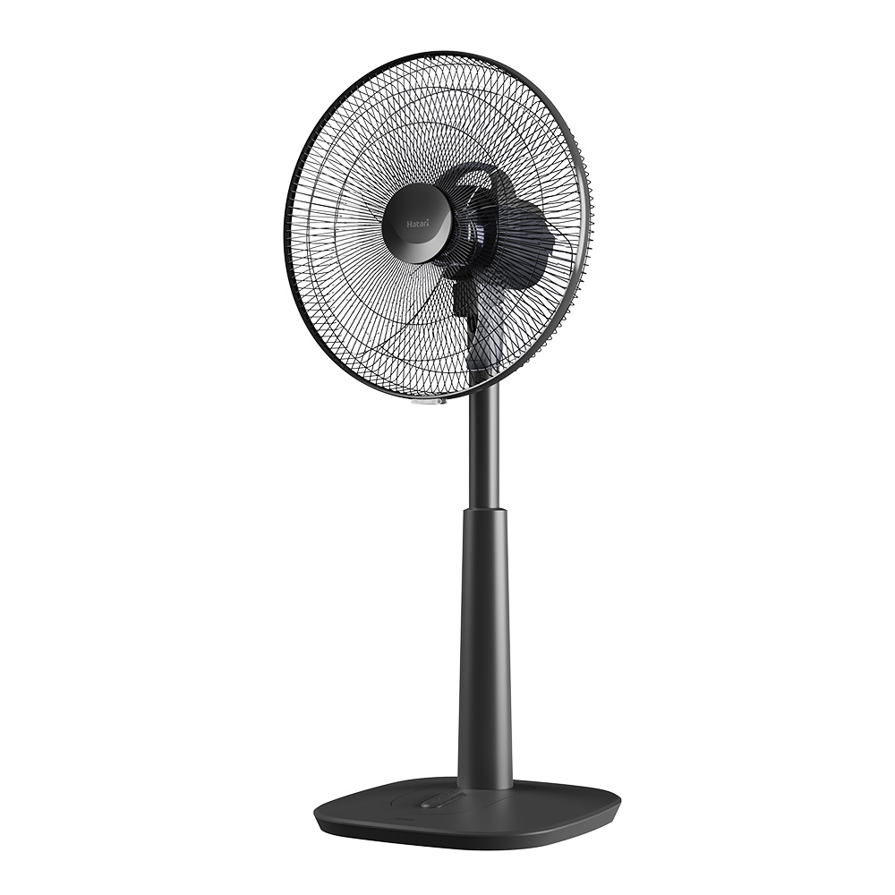 Suncity4455 cá cược trực tuyến lửng Hatari S16M1 sải cánh 40cm