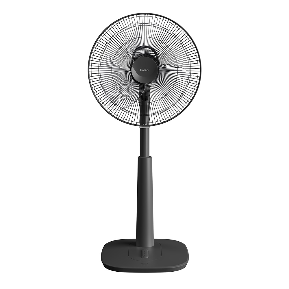 Suncity4455 cá cược trực tuyến lửng Hatari S16M1 sải cánh 40cm