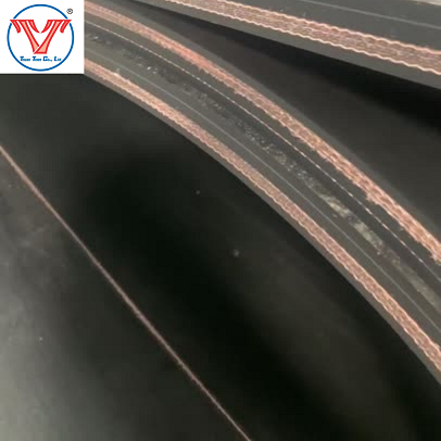 Băng Tải Cao Su Trơn Hiện Nay Có Được Sử Dụng Phổ Biến Hay Không?