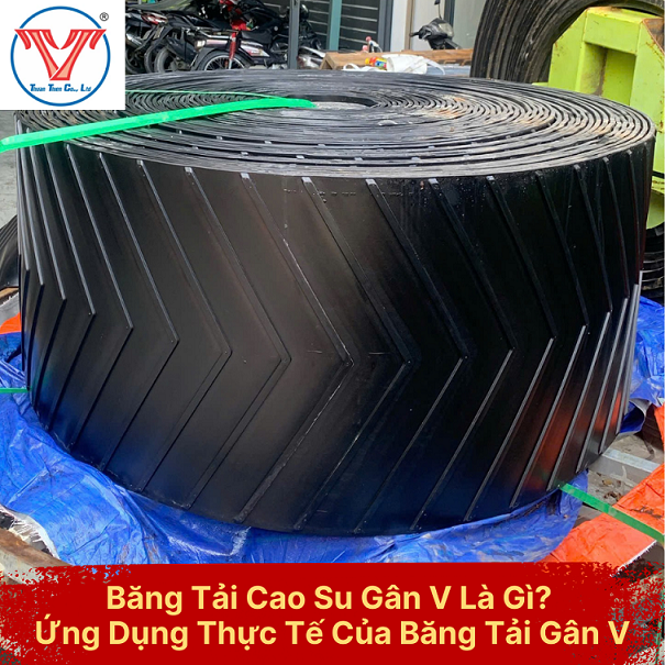 Băng Tải Cao Su Gân V Là Gì? Ứng Dụng Thực Tế Của Băng Tải Gân V