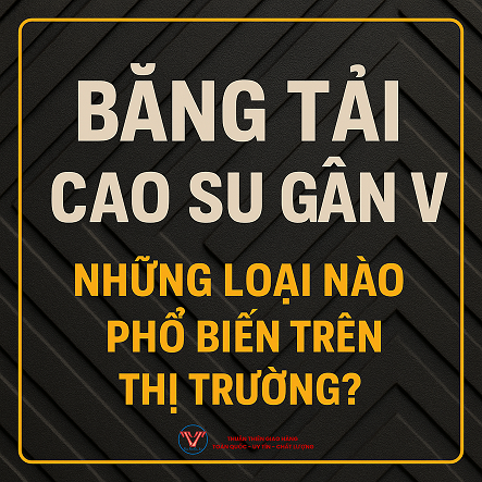 Băng Tải Cao Su Gân V – Những Loại Nào Phổ Biến Trên Thị Trường?