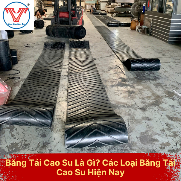 Băng Tải Cao Su Là Gì? Các Loại Băng Tải Cao Su Hiện Nay