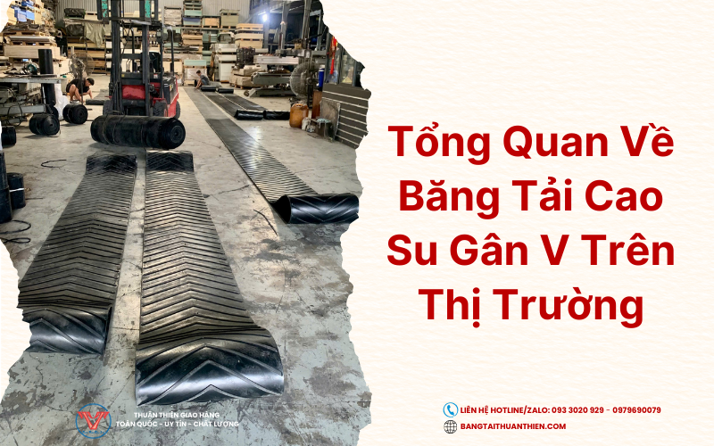 tong-quan-ve-bang-tai-cao-su-gan-v-tren-thi-truong