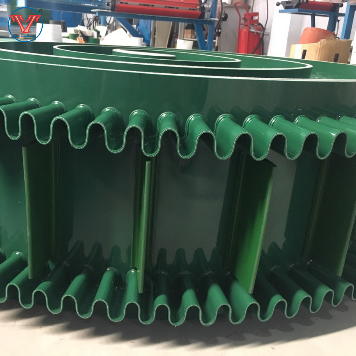 BĂNG TẢI PVC TAI BÈO - BĂNG TẢI PVC TAI BÈO GÂN SÓNG