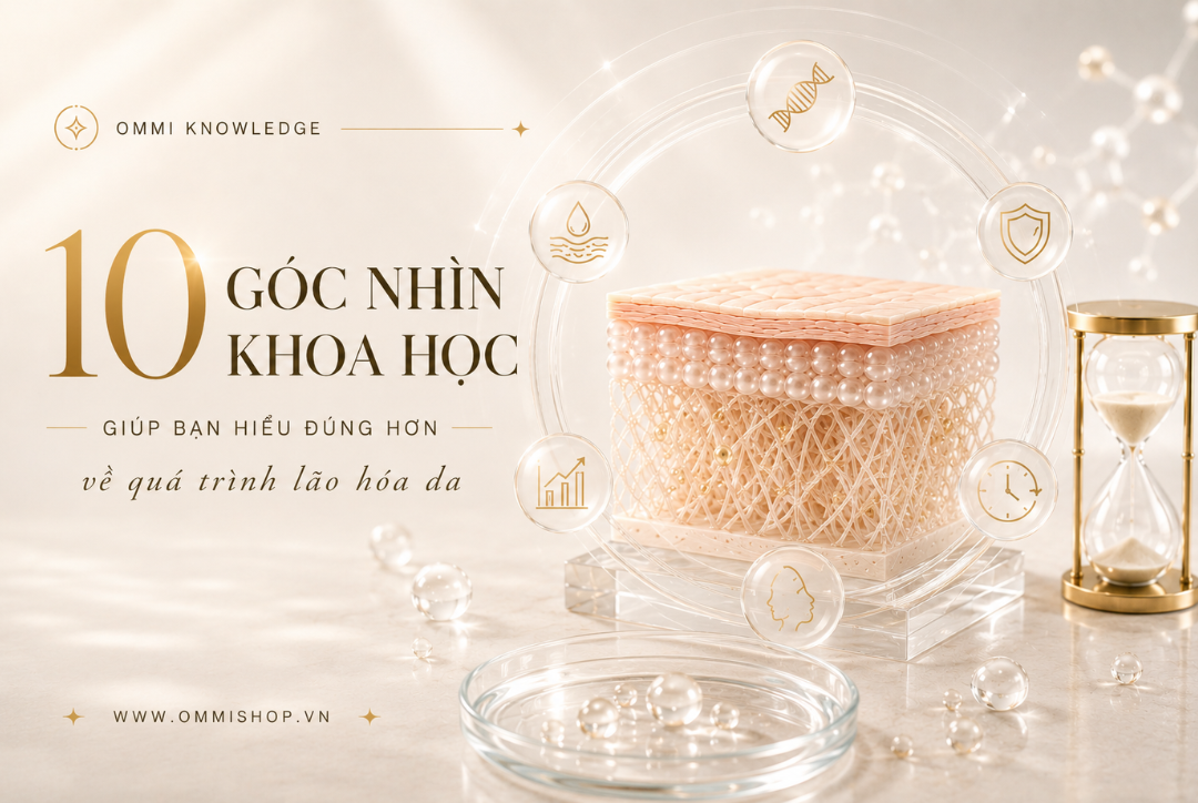 10 góc nhìn khoa học giúp bạn hiểu đúng hơn về quá trình lão hóa da