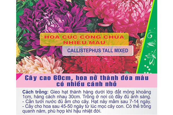 Gói 100 Hạt Giống Hoa Cúc Công Chúa Nhiều Màu - Hạt giống trồng hoa Tết 2020 - hạt mới tỉ lệ nảy mầm cao - Kèm hướng dẫn trồng - Nanuseeds - Thế Giới Rau Mầm shop