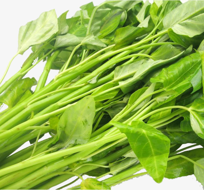 Gói 1kg hạt giống rau muống Thái Lan