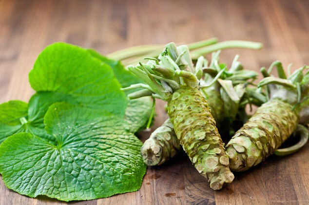 Gói 50 hạt giống củ mù tạt wasabi Nhật Bản - Wasabi Japanese Horseradish Vegetable