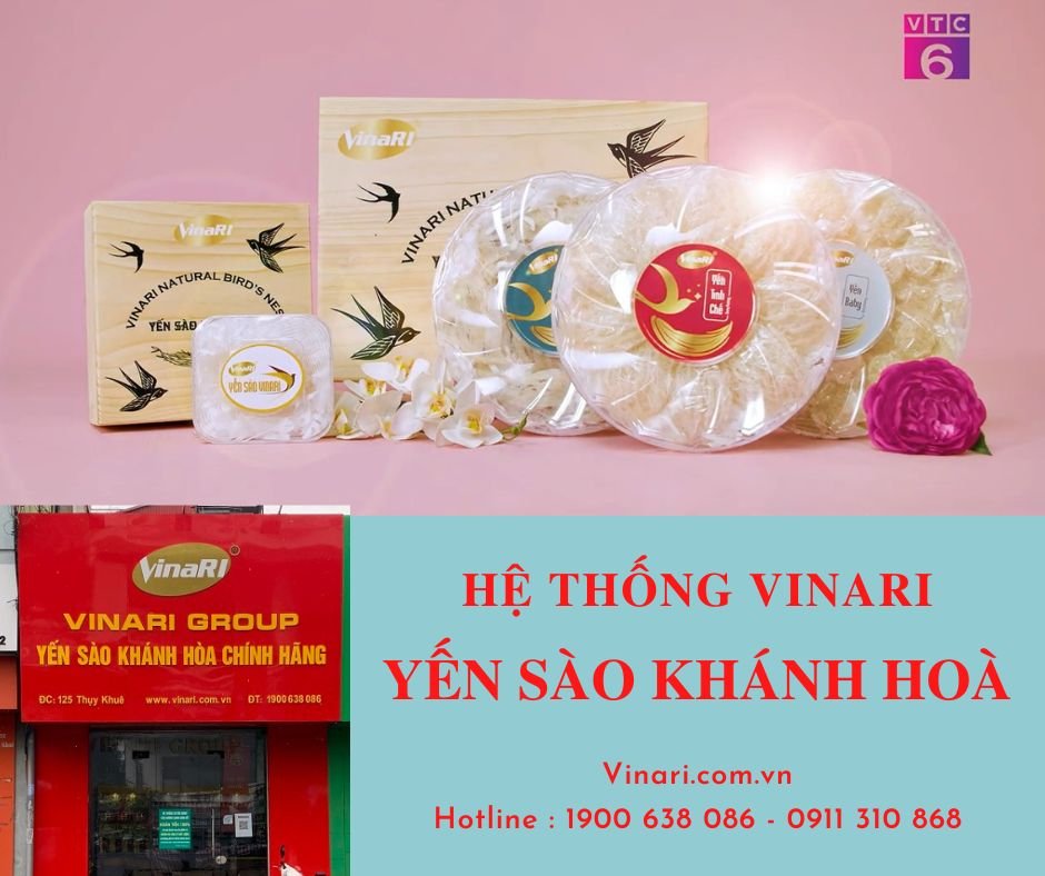 Yến sào làm quà biếu