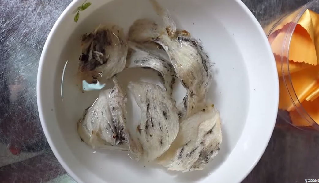 NGÂM TỔ YẾN BAO LÂU ĐỂ ĐẠT HIỆU QUẢ TỐI ƯU
