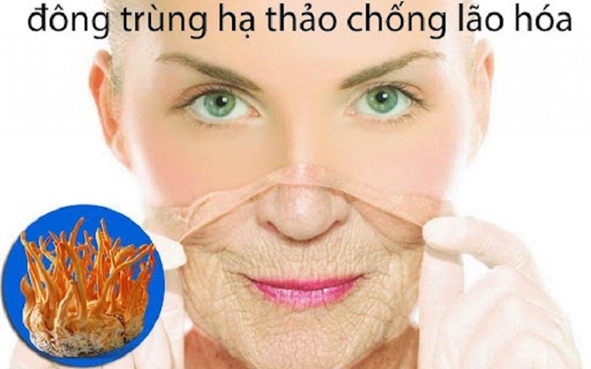 Tác dụng thần kỳ của đông trùng hạ thảo là gì?