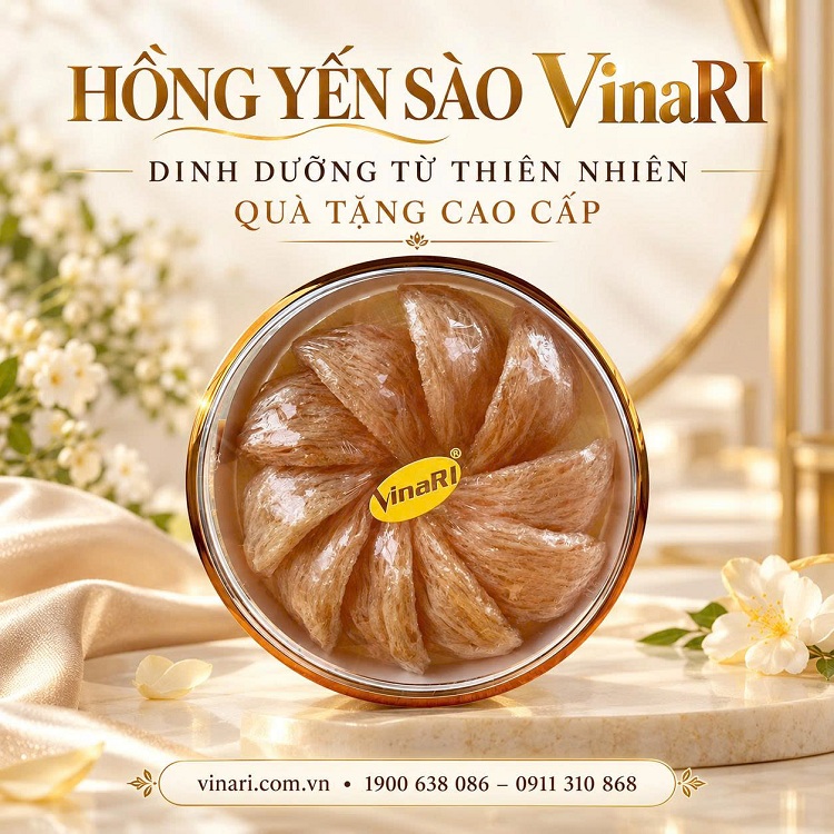 Địa chỉ mua nước yến sào tại Thái Nguyên – Từ nhu cầu bồi bổ đến xu hướng dùng yến mỗi ngày