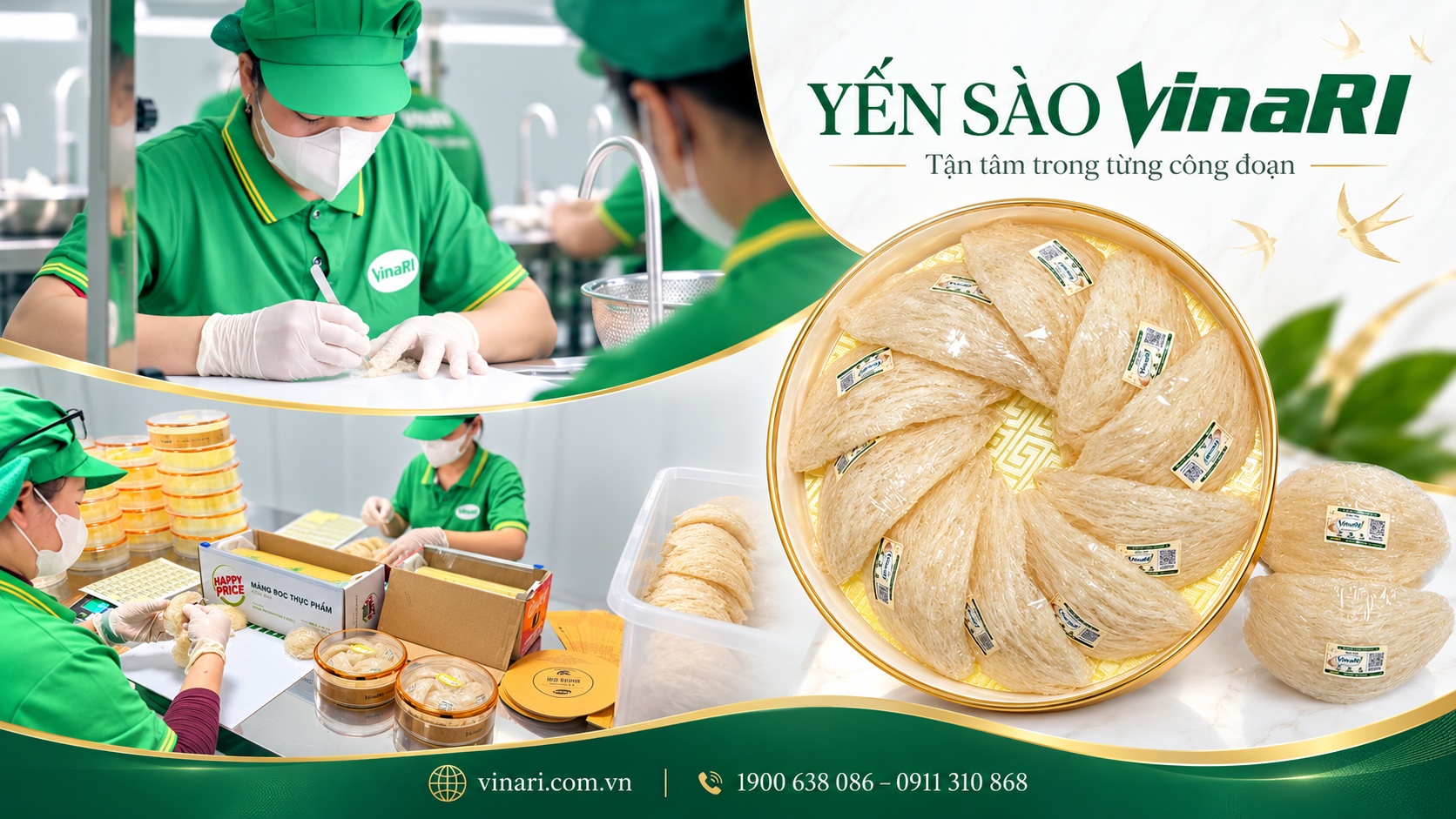 Mua Yến Sào Hà Nội