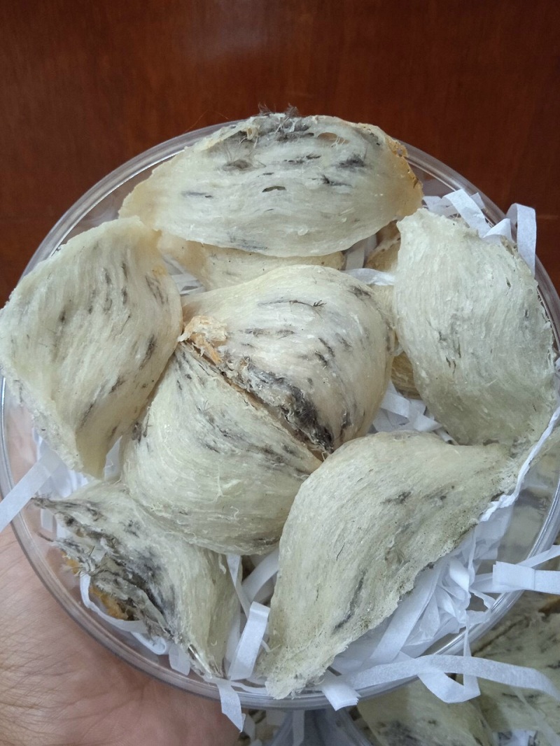 Tổ yến thô – Cách phân loại, lựa chọn và sử dụng tổ yến thô đúng chuẩn