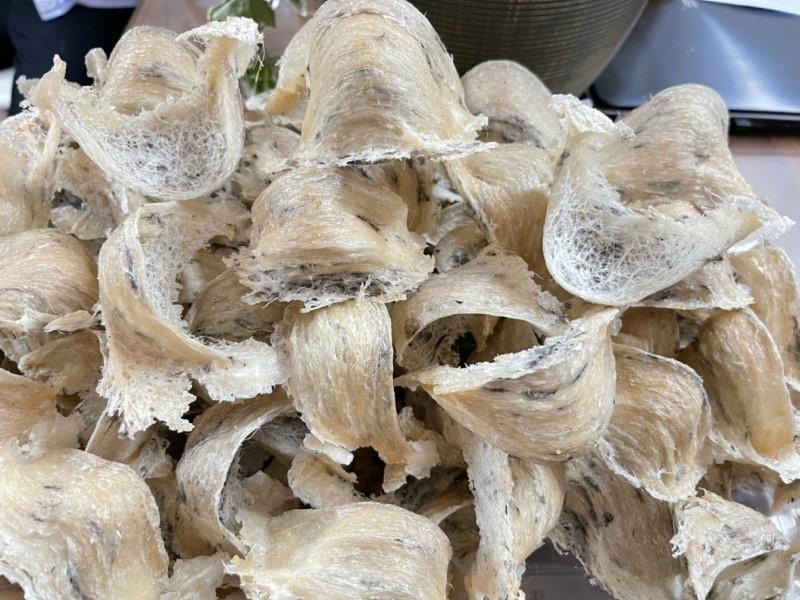 Tổ yến thô có cần phải lựa chọn? Tổ yến thô dầy hay tổ yến thô mỏng là tốt?