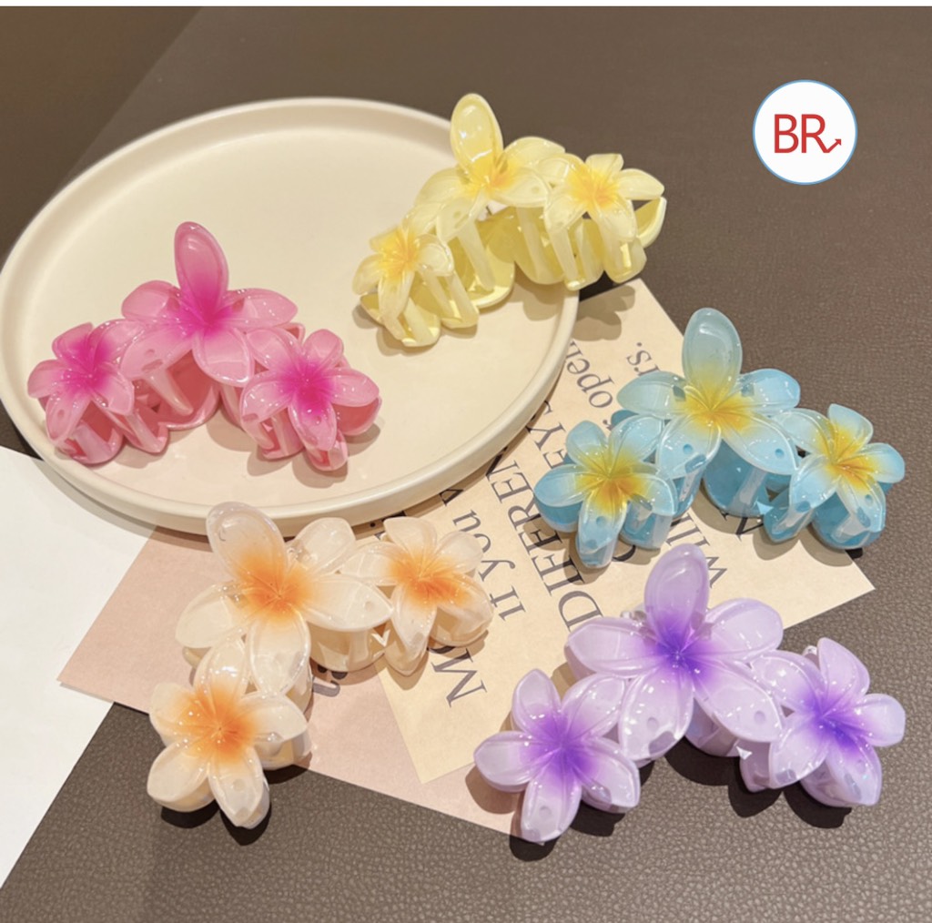 Kẹp Tóc HOA SỨ ( Thùng 1000)