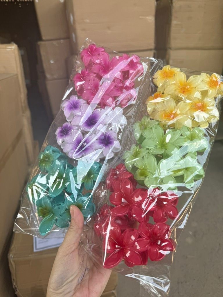 Kẹp Tóc HOA SỨ ( Thùng 1000)