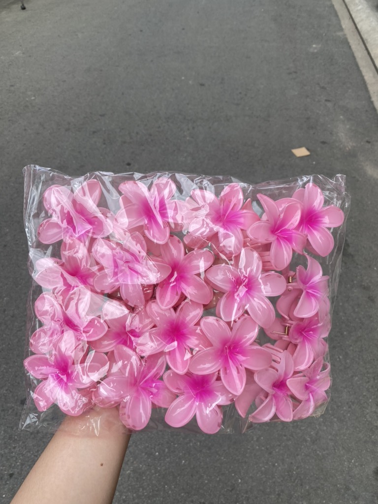 Kẹp Tóc HOA SỨ ( Thùng 1000)