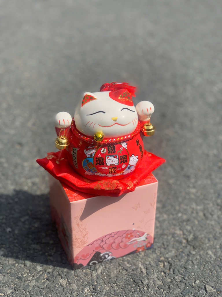 Mèo Thần Tài (Thùng 60)