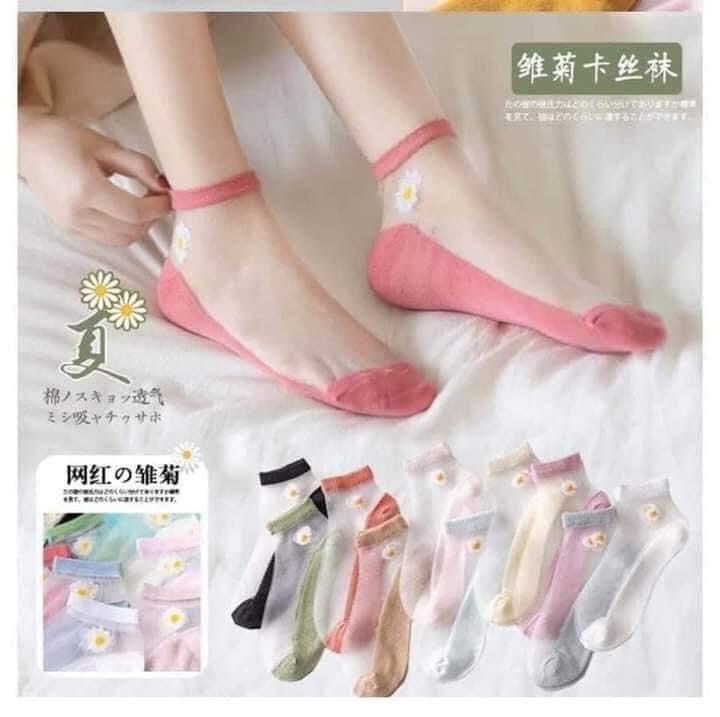 (Set 10) Vớ Ren Hoa Cúc (loại vớ lưới)